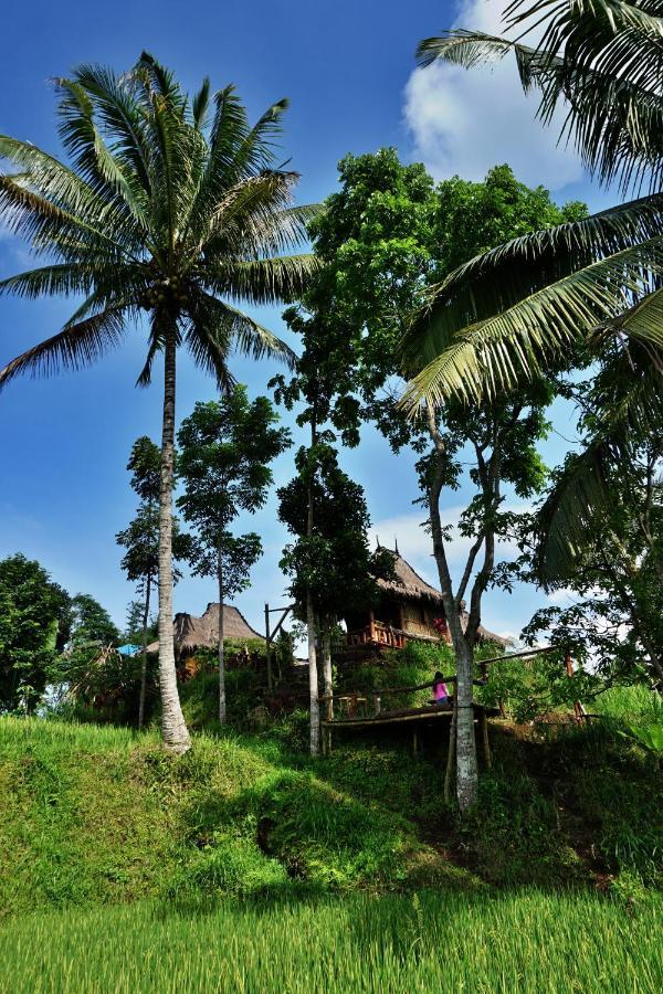 Hotel Satu Lingkung Tetebatu Exterior foto